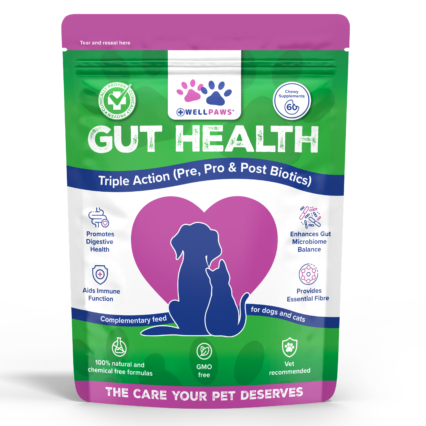Gut Health